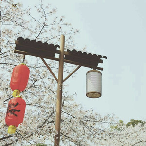 女人ZoZσZ0与女人zo
